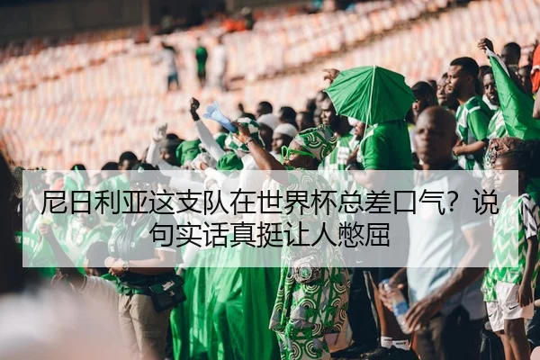ni-ri-li-ya-zhe-zhi-dui-zai-shi-jie-bei-zong-cha-kou-qi-shuo-ju-shi-hua-zhen-ting-rang-ren-bie-qu-2-344.jpg